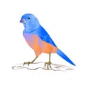 Bluebird thrush small songbirdon a background vintage vector illustration editable