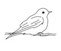 Bluebird vector illustration.Line art bird