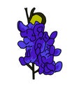 Bluebonnet flower illustration vector isolated