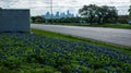 Bluebonnets springtime Austin Texas Skyline background