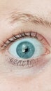 BlueEye Royalty Free Stock Photo