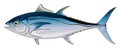 Bluefin Tuna Royalty Free Stock Photo
