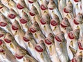 Bluefish. Food background. Istanbul,