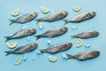 Bluefish with lemon, sea salt, lemon on pastel blue. Fish pattern with space for text. View from above. Flat lay