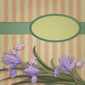 Blueflag floral frame Royalty Free Stock Photo