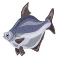Bluegill fish icon, cartoon style