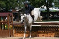 Bluegrass Festival Horse Show 2023 XI