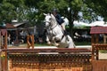 Bluegrass Festival Horse Show 2023 XIV