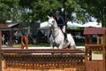 Bluegrass Festival Horse Show 2023 XV
