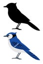 Bluejay