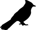 Bluejay Blue Jay Bird Silhouette Vector Icon