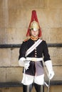 Blues and Royals Trooper on Duty at Horseguards Parade London England UK Royalty Free Stock Photo