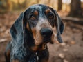 Bluetick Coonhound dog created with Generative AI technology