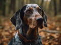 Bluetick Coonhound dog created with Generative AI technology