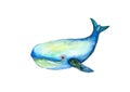 Bluewhale Royalty Free Stock Photo