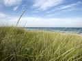 Bluff at beach with dune grass