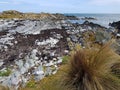 Colourful Rockscape by the Beach