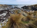 Colourful Rockscape by the Beach Royalty Free Stock Photo