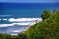 Bluff at Kilauea Point and Fence