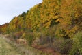 Bluffs near Gladstone Michigan 817286