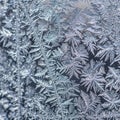 Bluish tint suggests a cold wintry setting with light softly Royalty Free Stock Photo