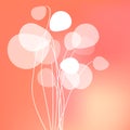 Flowers dandelions white on a Coral color bokeh fog background