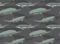 Bluntnose Sixgill Shark Cartoon Background Seamless Wallpaper