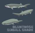 Bluntnose Sixgill Shark Cartoon Vector Illustration Royalty Free Stock Photo