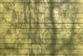 Tree shadow on a green wooden wall Royalty Free Stock Photo