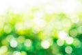 Blur of abstract green bokeh from tree/garden background. Royalty Free Stock Photo