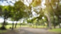 Blur background green park garden nature bright sunny forest. Blurry outdoor park in spring time glowing shinny day template with