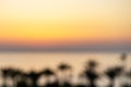 Blur background of silhouette of palm trees of sea beach against the backdrop of  setting sun on sunset sky. Top view. Panoramic. Royalty Free Stock Photo
