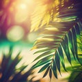 Blur beautiful nature green palm leaf on tropical beach with bokeh sun light flare wave abstract background Royalty Free Stock Photo