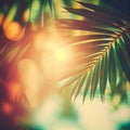 Blur beautiful nature green palm leaf on tropical beach with bokeh sun light flare wave abstract background Royalty Free Stock Photo