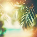 Blur beautiful nature green palm leaf on tropical beach with bokeh sun light flare wave abstract background Royalty Free Stock Photo