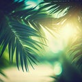 Blur beautiful nature green palm leaf on tropical beach with bokeh sun light flare wave abstract background Royalty Free Stock Photo