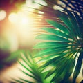 Blur beautiful nature green palm leaf on tropical beach with bokeh sun light flare wave abstract background Royalty Free Stock Photo