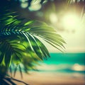 Blur beautiful nature green palm leaf on tropical beach with bokeh sun light flare wave abstract background Royalty Free Stock Photo