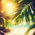 Blur beautiful nature green palm leaf on tropical beach with bokeh sun light flare wave abstract background Royalty Free Stock Photo