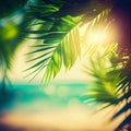 Blur beautiful nature green palm leaf on tropical beach with bokeh sun light flare wave abstract background Royalty Free Stock Photo