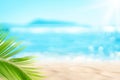 Blur beautiful nature green palm leaf on tropical beach with bokeh sun light wave abstract background Royalty Free Stock Photo