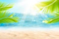 Blur beautiful nature green palm leaf on tropical beach with bokeh sun light wave abstract background Royalty Free Stock Photo