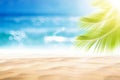Blur beautiful nature green palm leaf on tropical beach with bokeh sun light wave abstract background Royalty Free Stock Photo