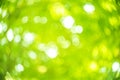 Blur bokeh of the green life. Royalty Free Stock Photo