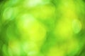 Blur bokeh of the green life. Royalty Free Stock Photo