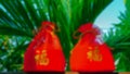 Blur the Chinese New Year gifts for the background and leave space for the text filling. Chinese New Year, elders always have gift Royalty Free Stock Photo