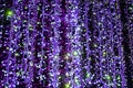 Blur christmas lights Royalty Free Stock Photo