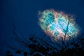 blur Crabmosaic galaxy nebula back on night cloud sunset sky silhouette tree