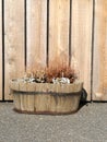 Blur dried flowers on the wood pot bucket with blur brown wooden fence Royalty Free Stock Photo