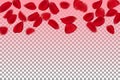 Blur floating red roses petal Royalty Free Stock Photo